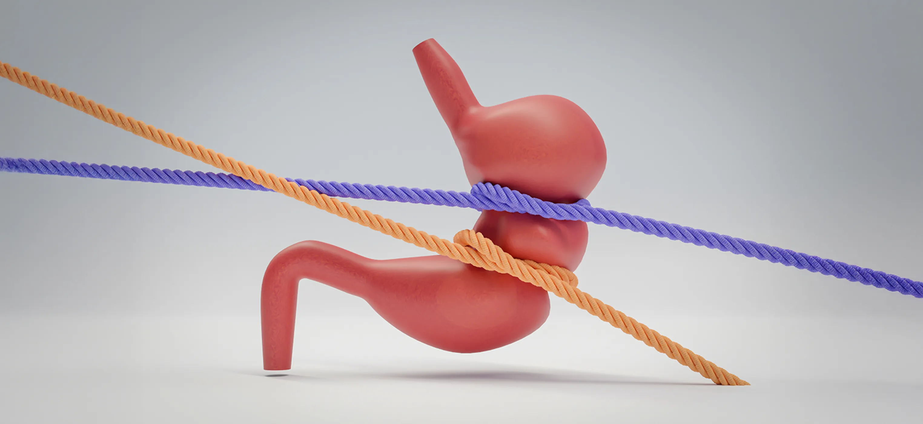 역류성식도염 소개 이미지