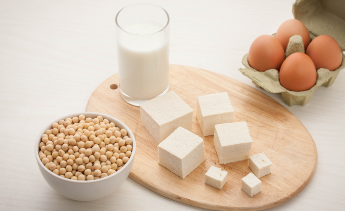 단백질은 매일 섭취