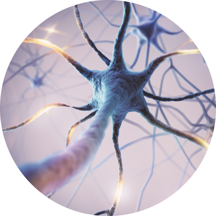 통증 완화 이후, 조직 강화까지 고려합니다.